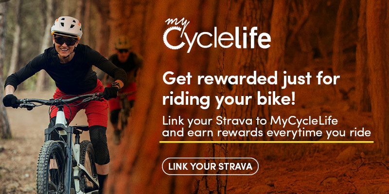 cycle-lab lazy-loader